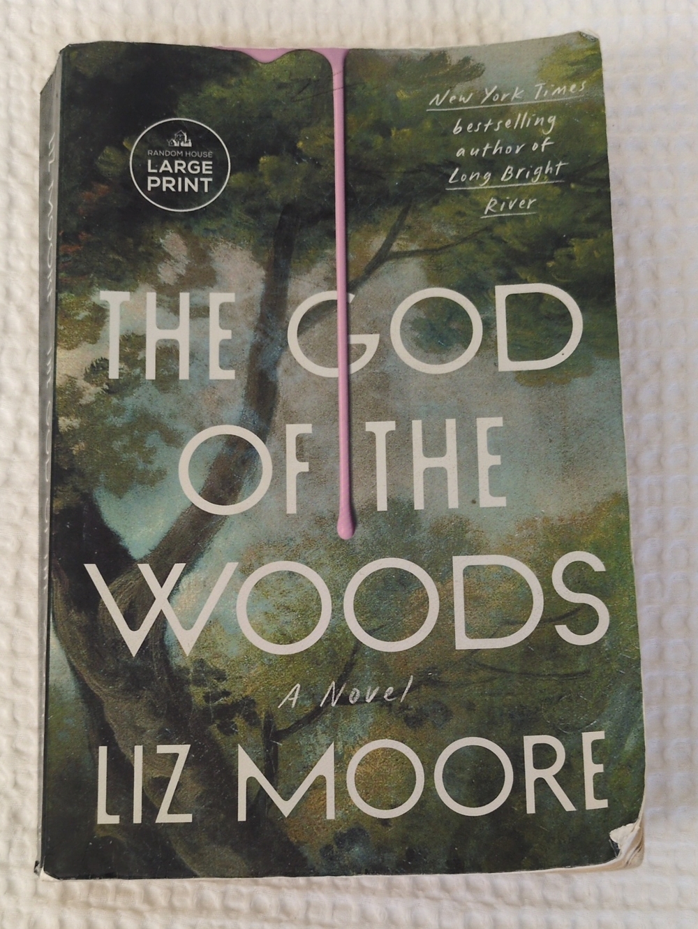 The God of the Woods Novel